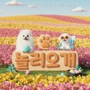 놀러오개 애견유치원 모충점 네이버블로그