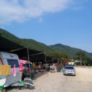 연화산반딧불이캠핑장 이미지