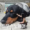 성수퍼피 | 하우스노웨어 성수 주차 웨이팅 소요시간 전층 팝업 주말 방문후기