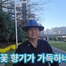 예림초등학교 이미지