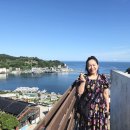 거제도애광원 이미지