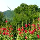 부영농원 이미지