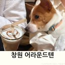 사림동 사격장 | 창원 애견동반 카페 사림동 어라운드텐 (+김호두)