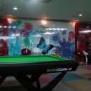 알 당구장 이미지