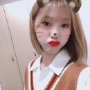 미미타코야끼 이미지