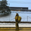 지민66 | 방문학생 일기] Day 60~66 / 독일마부르크비자인터뷰...여행, 오로라 투어, 해저식당 후기, 크리스티안산