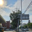 구도일주유소 두꺼비 이미지