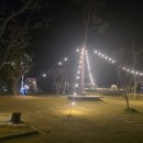 은행분식 이미지