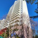 분당-215 이미지