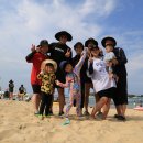 송지호 해수욕장 이미지