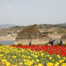 단양-단양-04 이미지