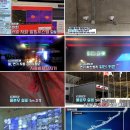 홍천군 야생동물 임시보호시설 | 고속도로 축선은 대한민국 토목 역사상 가장 험난했던 도전과 환경 보호, 터널 속에 숨겨진 과학적 비화들✨️