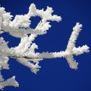 현대장의사 이미지