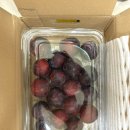 자두씨 | 처음 맛 본 나디아자두 체리자두 고당도 시즌한정 희귀품종 자두 솔직 후기