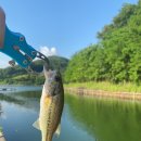 달월 낚시터 | "경기 시흥시 달월낚시터 마전저수지 배스낚시 후기"