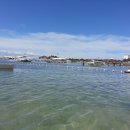 세이브 약국 이미지