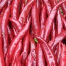 박용구농장 이미지