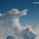 금천구 청소업체, 두영크린종합관리 깔끔한 해결사