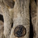 평택바른한의원 이미지