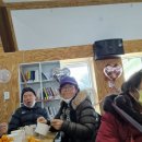 영계경로당 Daum카페