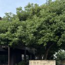 앳제주 | [제주] 앳코너 104호 후기｜제주공항 근처 조용한 숙소 추천