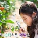 염산초야월분교장 이미지