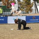 광장53호 이미지