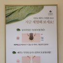 피부관리, 일광 피부관리, 물광 피부 만들어주는 일광 피부샵, 올가드림뷰티 일광 피부관리 물광케어 후기
