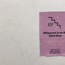 딜리센트