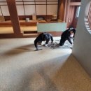 어재연로 이미지