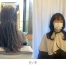깔롱헤어 이미지
