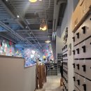 울산 남구 &#34;월담 클라이밍&#34; 후기 및 추천