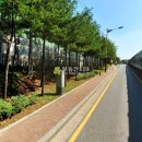 검단로 16 Daum카페