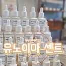 파주 향수공방 유노이아 센트 향수클래스, 향수만들기 실내데이트 추천