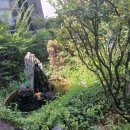 세인트누보산후조리원 이미지