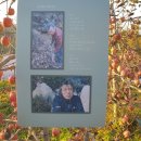 대강농장 이미지