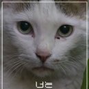카페,나다 이미지