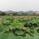 밀양연극촌관광안내소 이미지