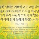 해 아래 인생의 허무(슈라이너) 이미지