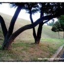 빙월당 | 四字成語 총정리 &lt;ㄱ&gt; 778 광주중외공원~광주향약