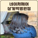 [노원] 중계역 미용실 네이처헤어 상계백병원점 클리닉 후기