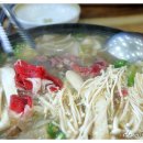 윤성범보쌈칼국수 이미지