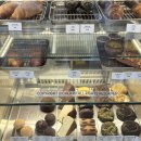 사파동100 이미지