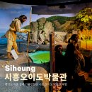 서해유치원 | 경기도 시흥 실내 가볼만한곳 시흥 오이도 박물관 체험