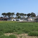 죽림농장 이미지