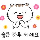 퀸도테라 이미지