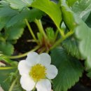 상오농장 이미지