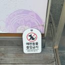 동두천 유정 부대찌개 | '유정부대찌개' 주말 오픈런, 줄서는 동두천 부대찌개 맛집 추천
