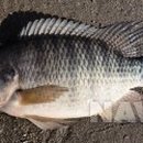 투모어휘트니스 지족점 이미지