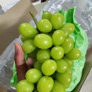 마고농원 이미지